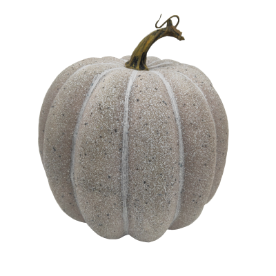 19CM GREY PUMPKIN