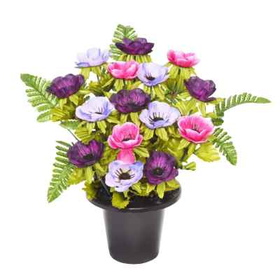 29CM PURPLE/PINK FRONTAL ANEMONE FERN X 16 GR