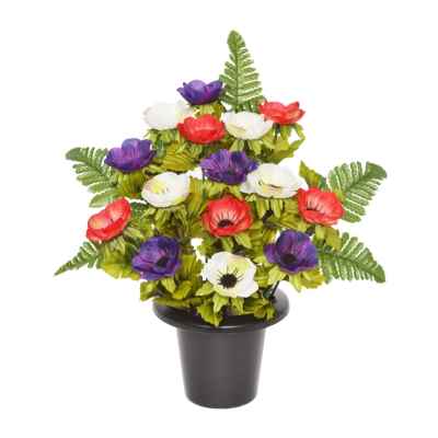 29CM CORAL/PURPLE FRONTAL ANEMONE FERN X 16 G