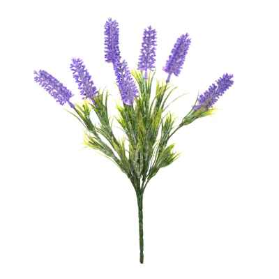 34CM LAVENDER X 7 BUSH