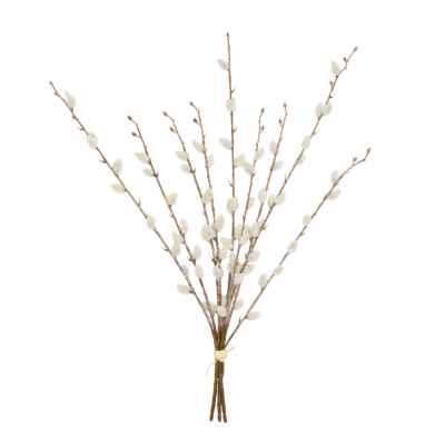 55CM FROSTED PUSSY WILLOW X 3 HAND TIED