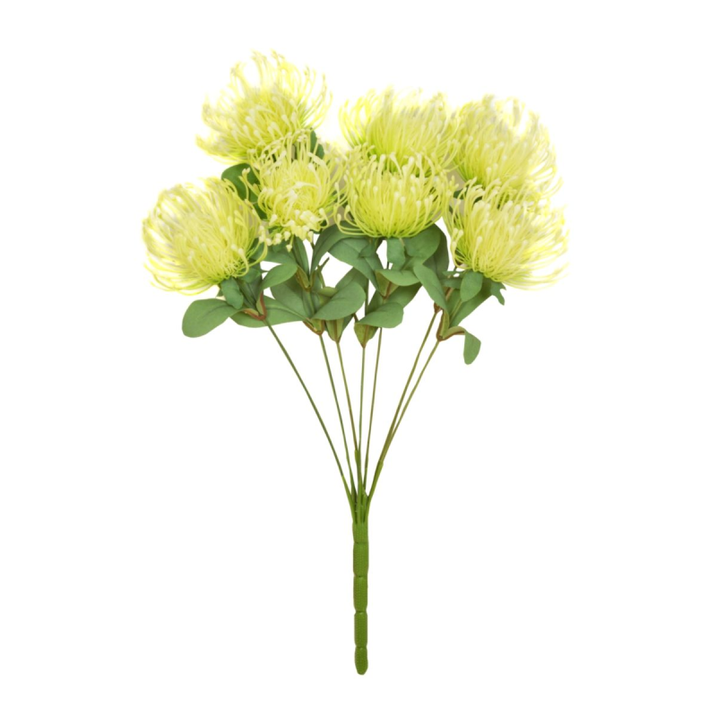 48CM SPIDER CHRYSANTHEMUM X 7 BOUQUET sincerefloral