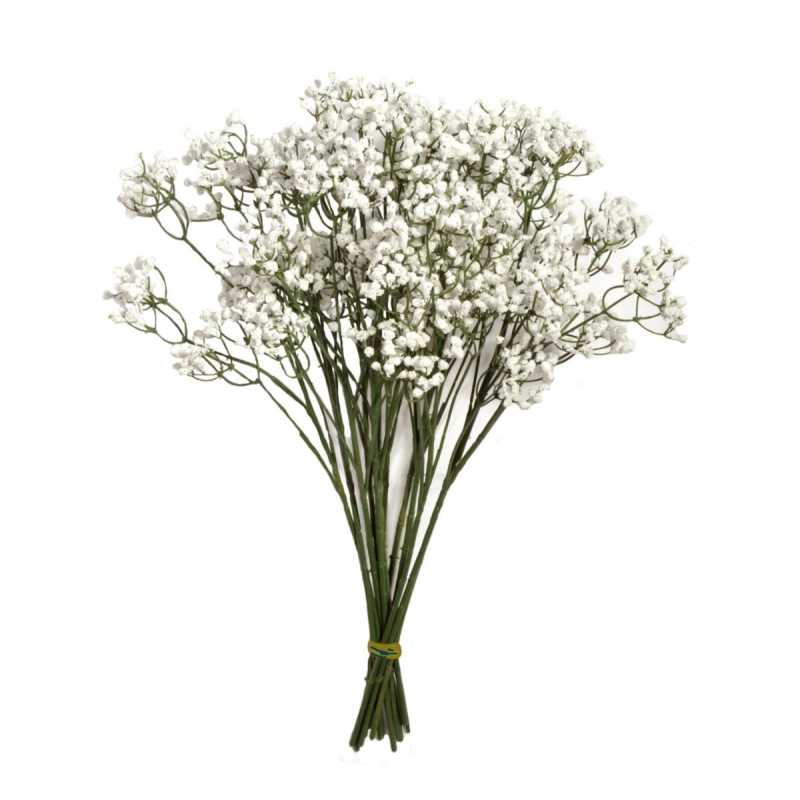 48CM GYPSOPHILA STEM X 12 IN BAG | sincerefloral