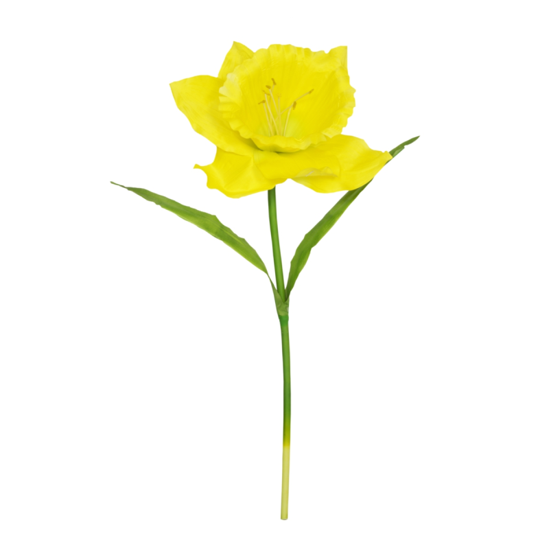 140 X 45CM DAFFODIL STEM sincerefloral