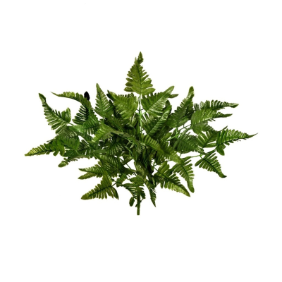 40CM LEATHER FERN X 10 BUSH