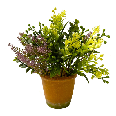 22CM LILAC MIXED FOLIAGE IN POT