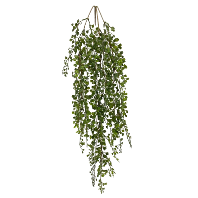 86CM HANGING MAIDEN HAIR FERN TRAIL