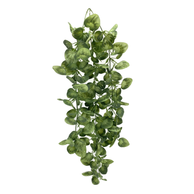 79CM HANGING MONEY PLANT TRAIL