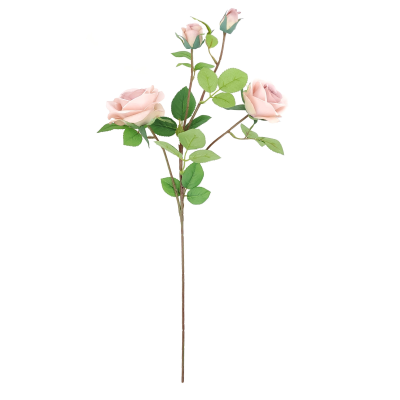 70CM BISQUE ROSE X 2 WITH 2 BUDS STEM
