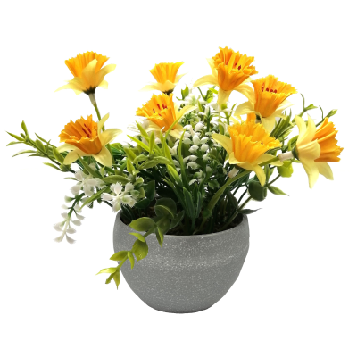 20CM NARCISSUS FOLIAGE IN POT