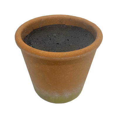 11.5CM FILLED TERRACOTTA EFFECT POT