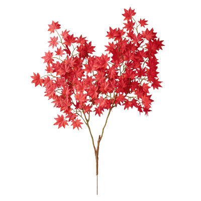 80CM RED MAPLE STEM