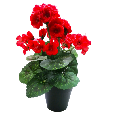 31CM RED GERANIUM IN POT